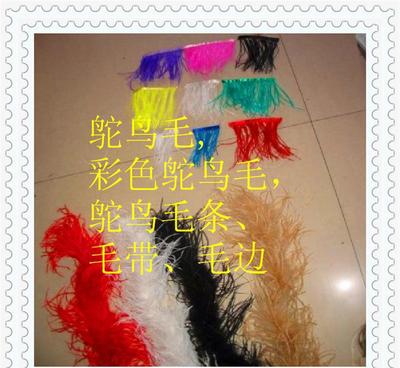 鴕鳥羽毛 從原毛進(jìn)口到舞臺閃耀的時(shí)尚與藝術(shù)輔料